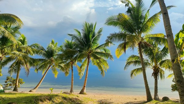 Guide essentiel pour découvrir les splendides montagnes pindus en grèce : astuces incontournables