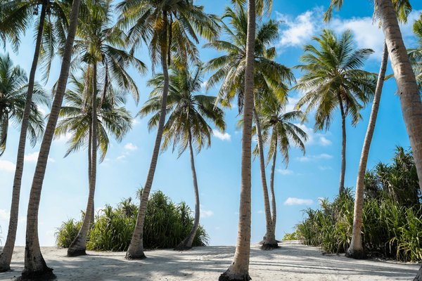 Secrets Incontournables pour Réduire les Coûts d'un Voyage de Dernière Minute